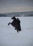 Дубровский