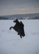 Дубровский