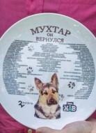 Мухтар. Он вернулся