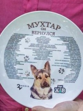 Мухтар. Он вернулся