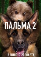 Пальма 2