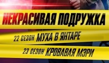 Некрасивая подружка 22: Муха в янтаре (сериал 2024) 1 серия