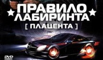 Правило лабиринта: Плацента (сериал 2009) 1 серия