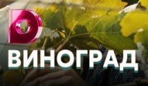 Виноград (сериал 2019) 1 серия