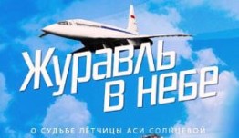 Журавль в небе (сериал 2020) 1 серия