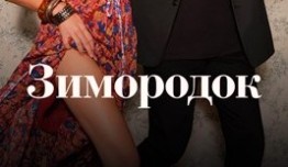 Зимородок (сериал 2022) 1 серия