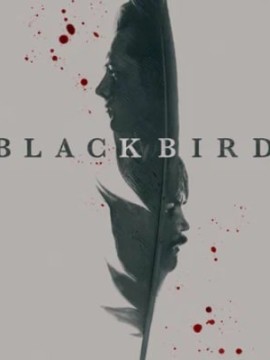 Чёрная птица 2 сезон
