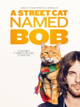 Уличный кот по кличке Боб